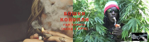 ГАЛЛЮЦИНОГЕННЫЕ ГРИБЫ Инсар