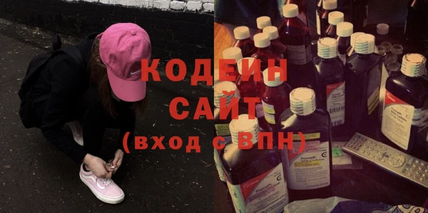 сатива Иннополис