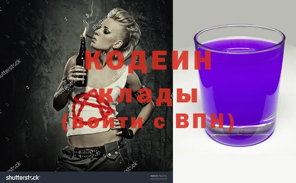ГАЛЛЮЦИНОГЕННЫЕ ГРИБЫ Инсар