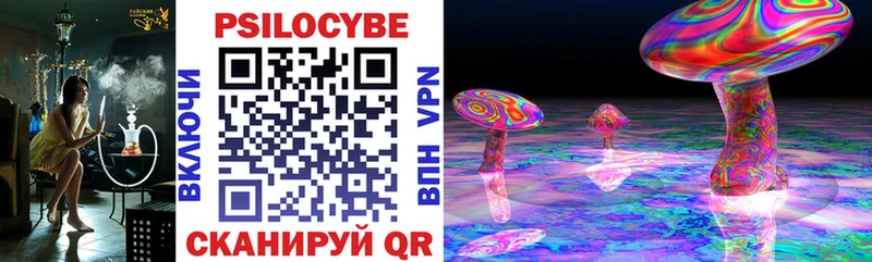 Купить где  Сенгилей  Галлюциногенные грибы ЛСД 
